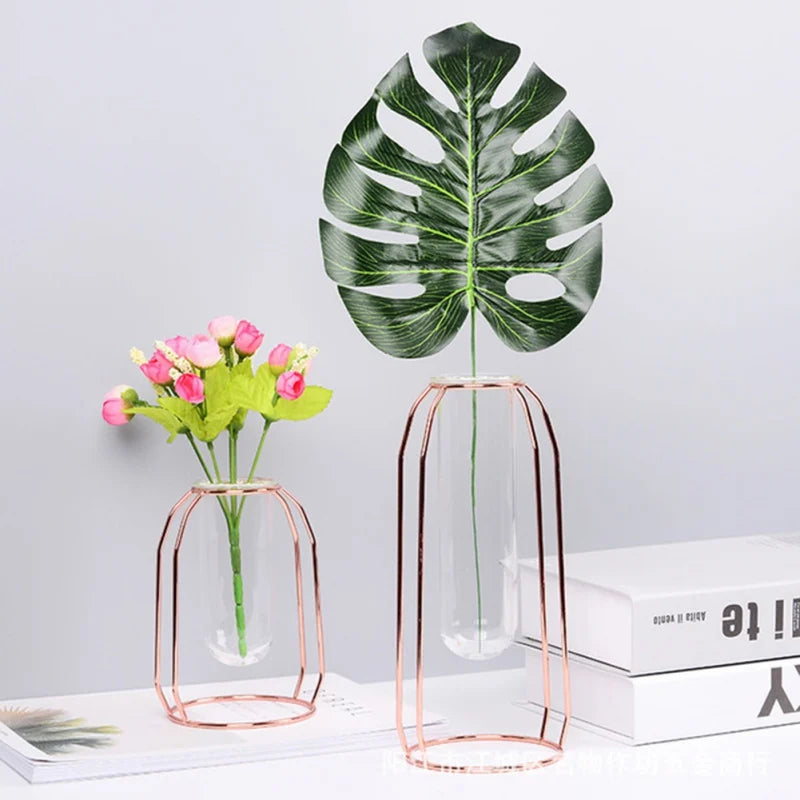 Hydroponic Plant Vase – Transparent Glass Test Tube Vase with Iron Metal Frame for Home & Office Décor