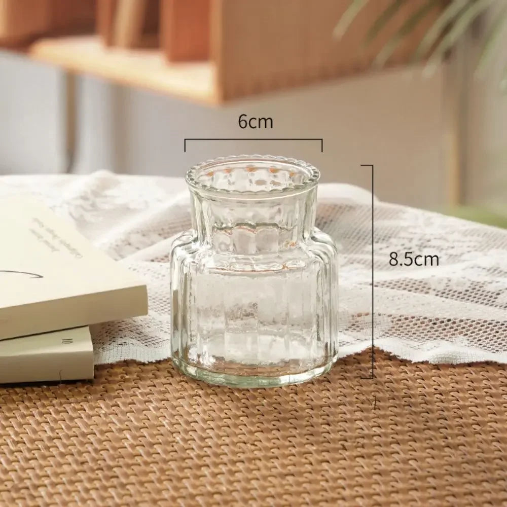 Cute Transparent Glass Hydroponic Pomegranate Vase – Mini Scandinavian Style Desktop Flower Holder