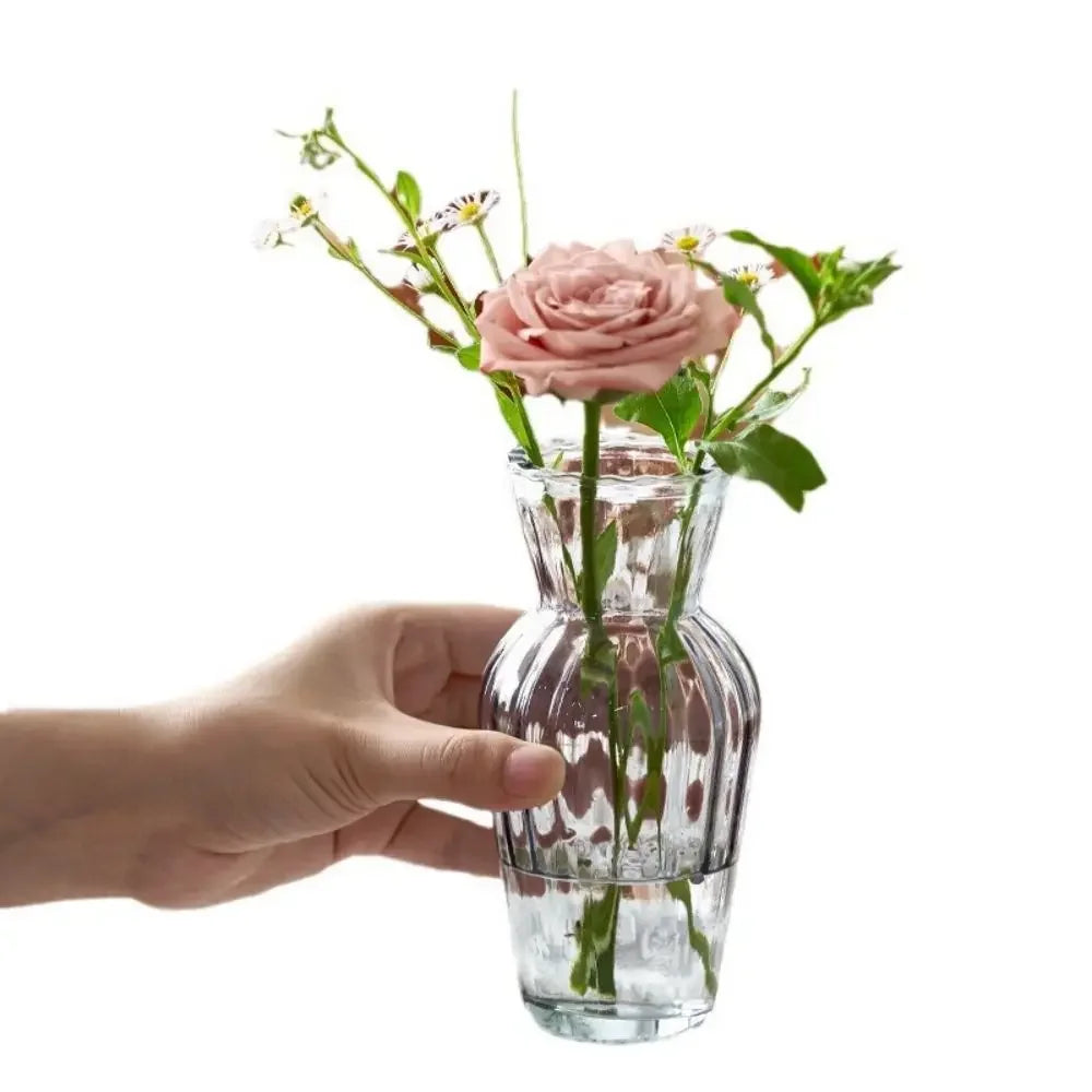 Cute Transparent Glass Hydroponic Pomegranate Vase – Mini Scandinavian Style Desktop Flower Holder