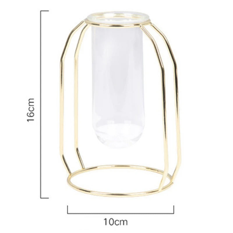 Hydroponic Plant Vase – Transparent Glass Test Tube Vase with Iron Metal Frame for Home & Office Décor