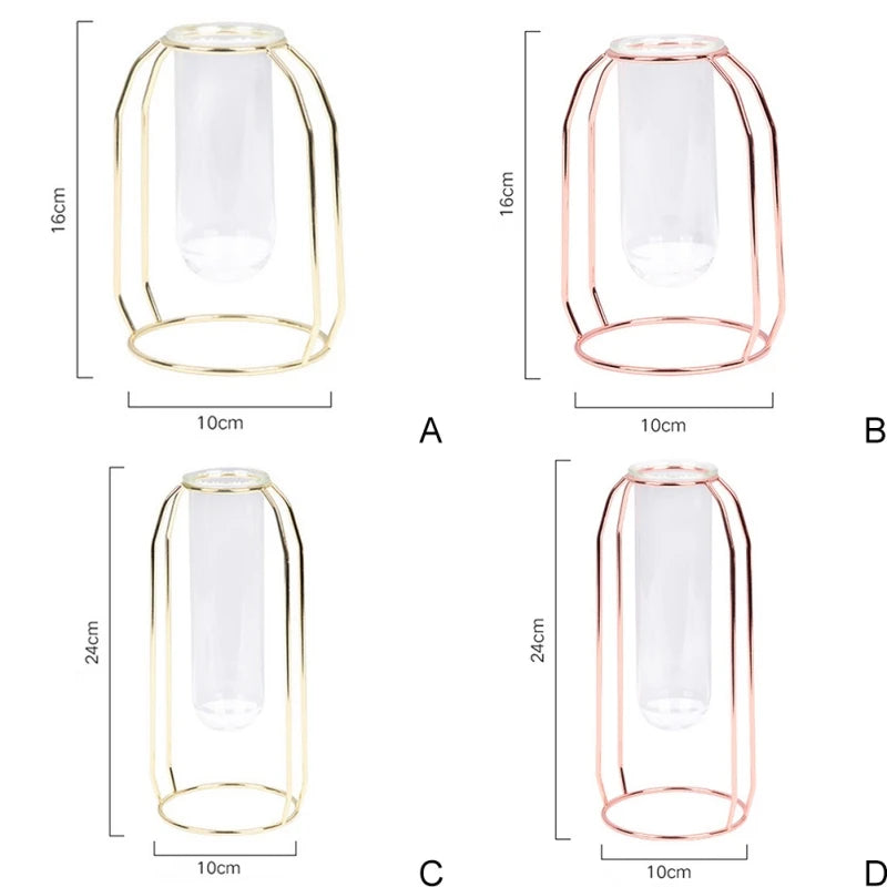 Hydroponic Plant Vase – Transparent Glass Test Tube Vase with Iron Metal Frame for Home & Office Décor