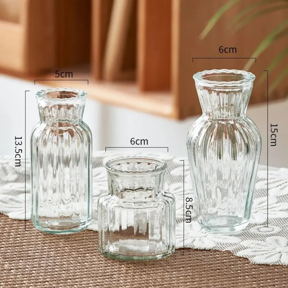 Cute Transparent Glass Hydroponic Pomegranate Vase – Mini Scandinavian Style Desktop Flower Holder