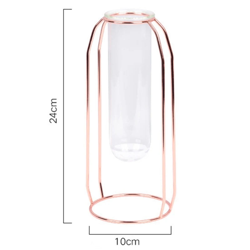 Hydroponic Plant Vase – Transparent Glass Test Tube Vase with Iron Metal Frame for Home & Office Décor