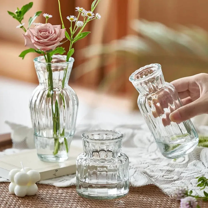 Cute Transparent Glass Hydroponic Pomegranate Vase – Mini Scandinavian Style Desktop Flower Holder