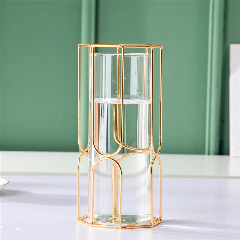 Iron Gold Glass Vase – Elegant Tabletop Decoration for Dried & Hydroponic Flowers