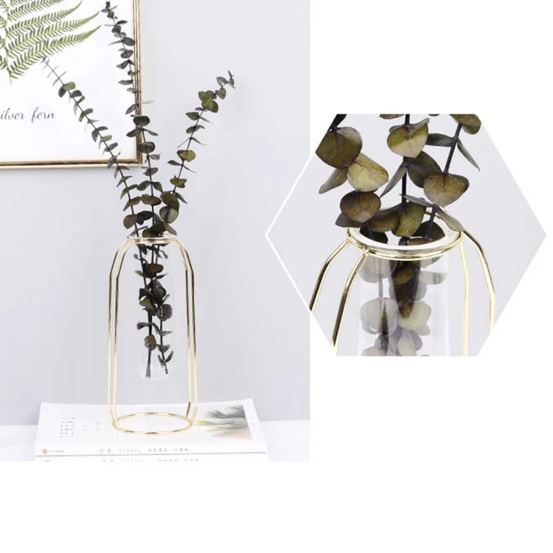 Hydroponic Plant Vase – Transparent Glass Test Tube Vase with Iron Metal Frame for Home & Office Décor