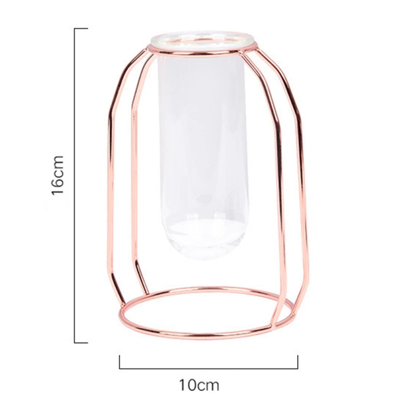 Hydroponic Plant Vase – Transparent Glass Test Tube Vase with Iron Metal Frame for Home & Office Décor