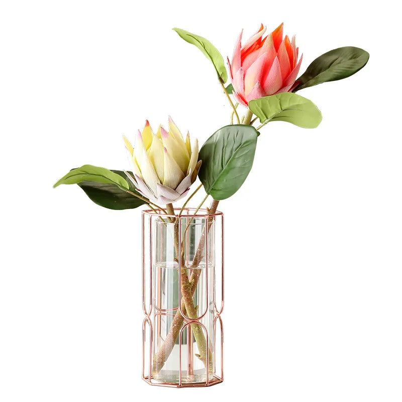 Iron Gold Glass Vase – Elegant Tabletop Decoration for Dried & Hydroponic Flowers