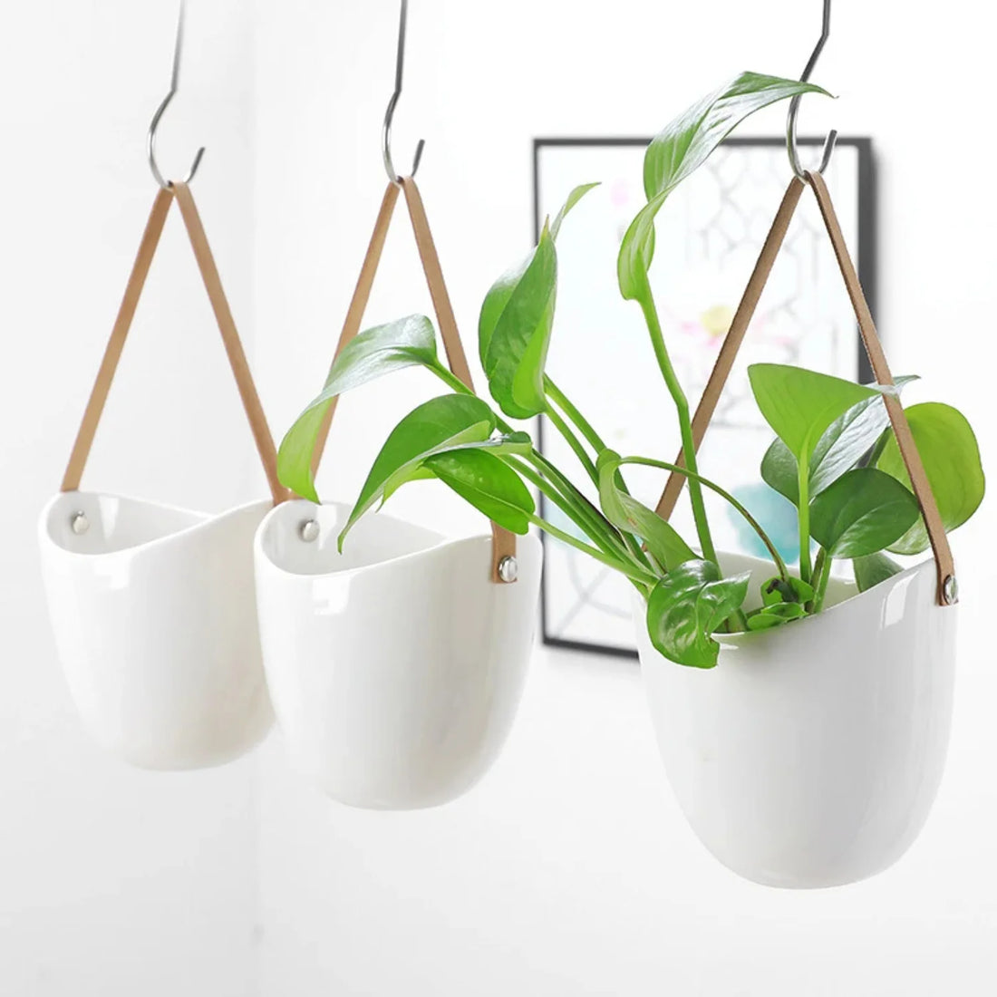 Creative Wall Hanging Flower Plant Pots – White Ceramic Hanging Baskets for Succulents & Green Plants