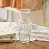 Cute Transparent Glass Hydroponic Pomegranate Vase – Mini Scandinavian Style Desktop Flower Holder