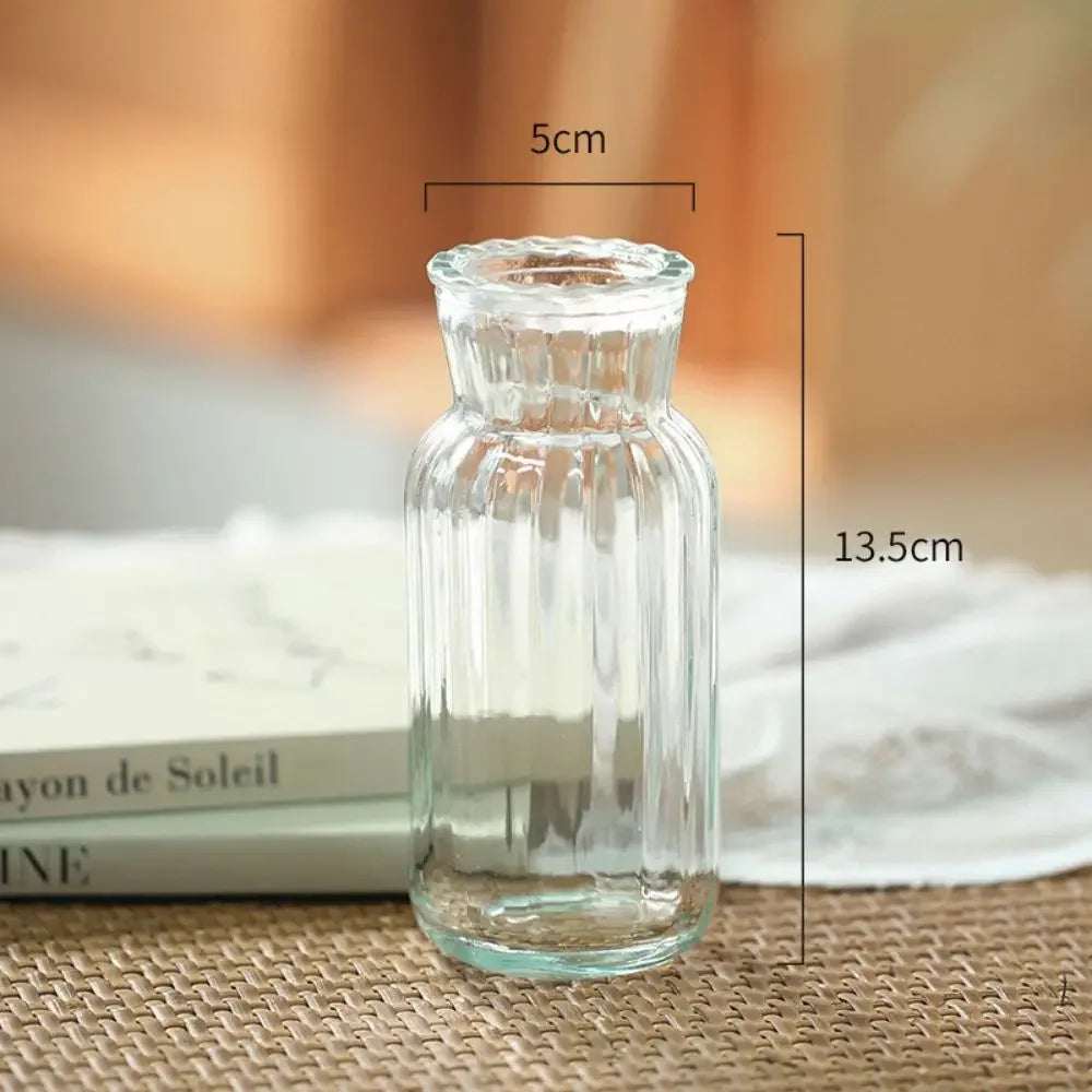 Cute Transparent Glass Hydroponic Pomegranate Vase – Mini Scandinavian Style Desktop Flower Holder