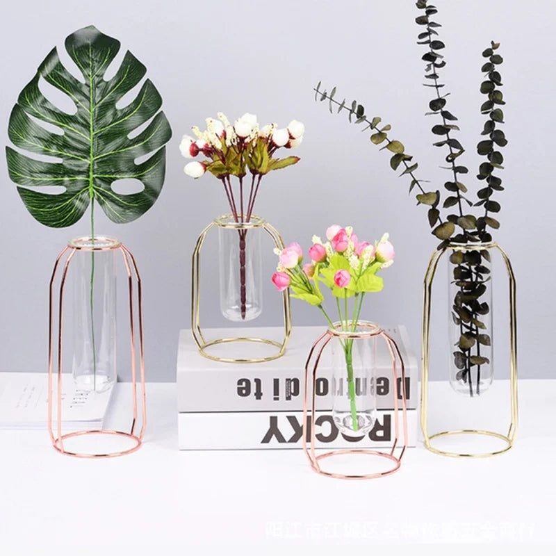 Hydroponic Plant Vase – Transparent Glass Test Tube Vase with Iron Metal Frame for Home & Office Décor