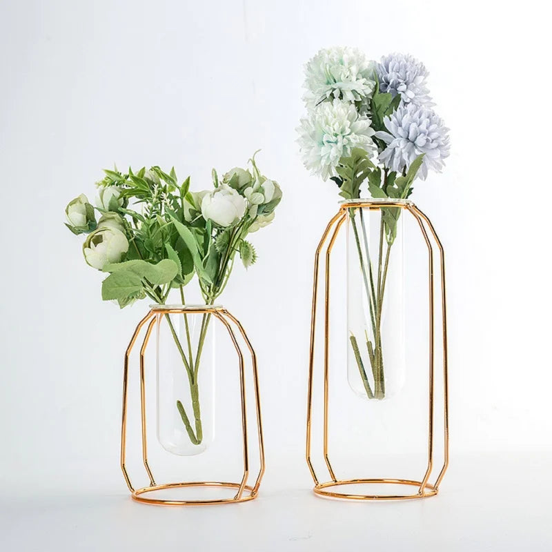 Hydroponic Plant Vase – Transparent Glass Test Tube Vase with Iron Metal Frame for Home & Office Décor