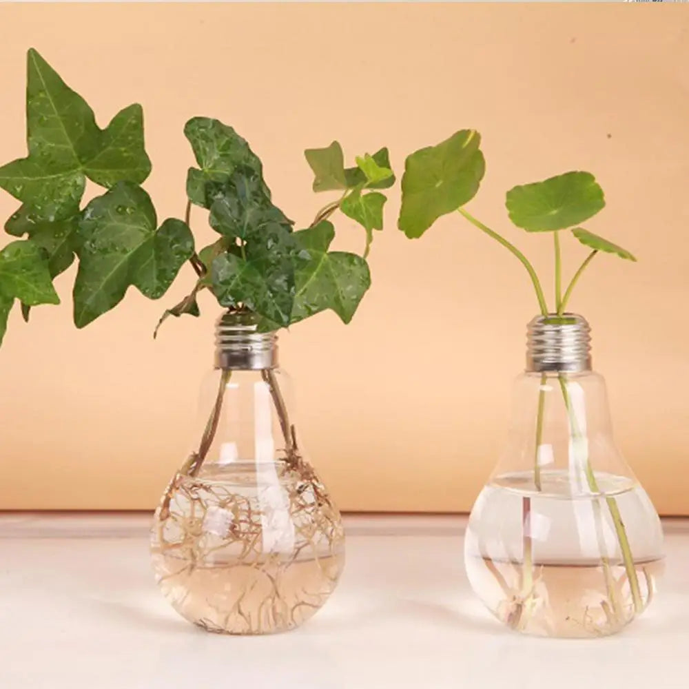 2/3pcs Light Bulb Flower Vase – Transparent Glass Vase for Desktop Hydroponics