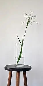 Quality Thick Weighted Tall Clear Glass Cylinder Vase – 4" W x 14" H for Flower Arrangements & Wedding Centerpieces