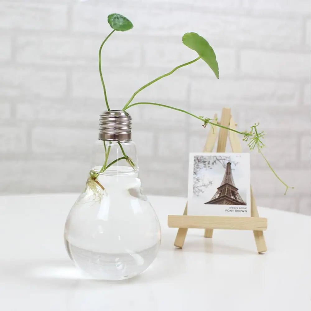 2/3pcs Light Bulb Flower Vase – Transparent Glass Vase for Desktop Hydroponics