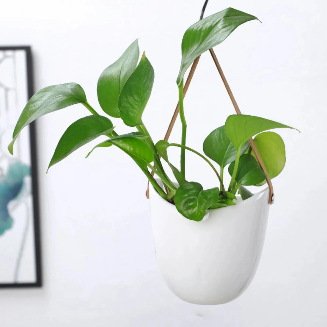 Creative Wall Hanging Flower Plant Pots – White Ceramic Hanging Baskets for Succulents & Green Plants