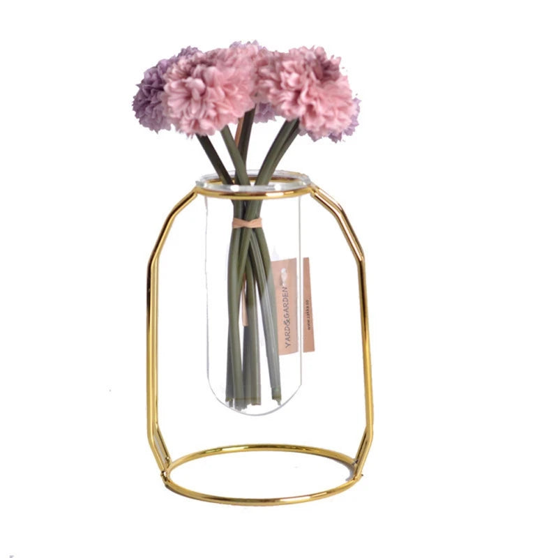 Hydroponic Plant Vase – Transparent Glass Test Tube Vase with Iron Metal Frame for Home & Office Décor