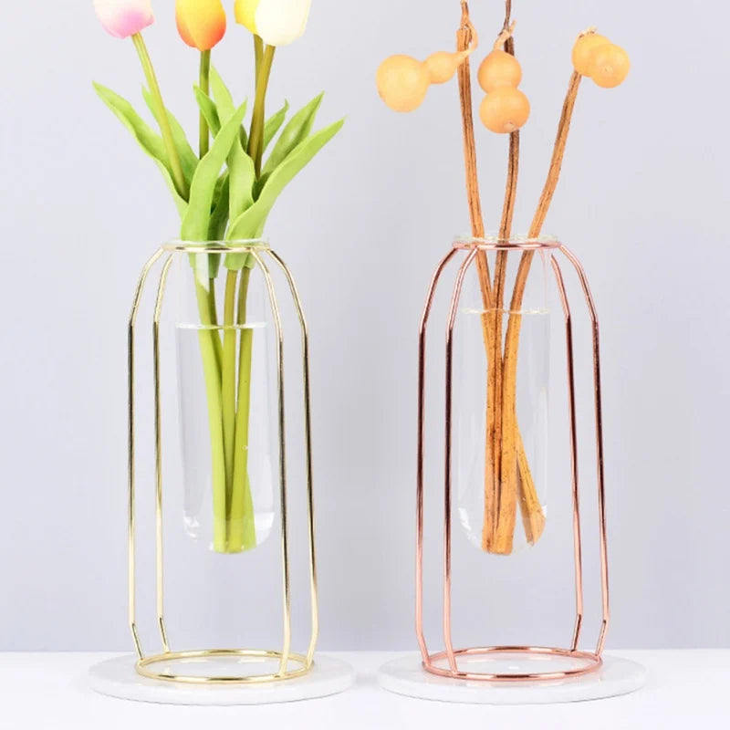 Hydroponic Plant Vase – Transparent Glass Test Tube Vase with Iron Metal Frame for Home & Office Décor